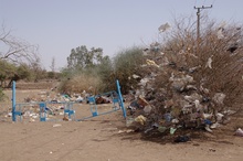 Sudan obfituje w drzewa i krzewy foliowca